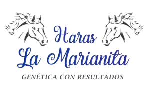 Logo de Haras La Marianita