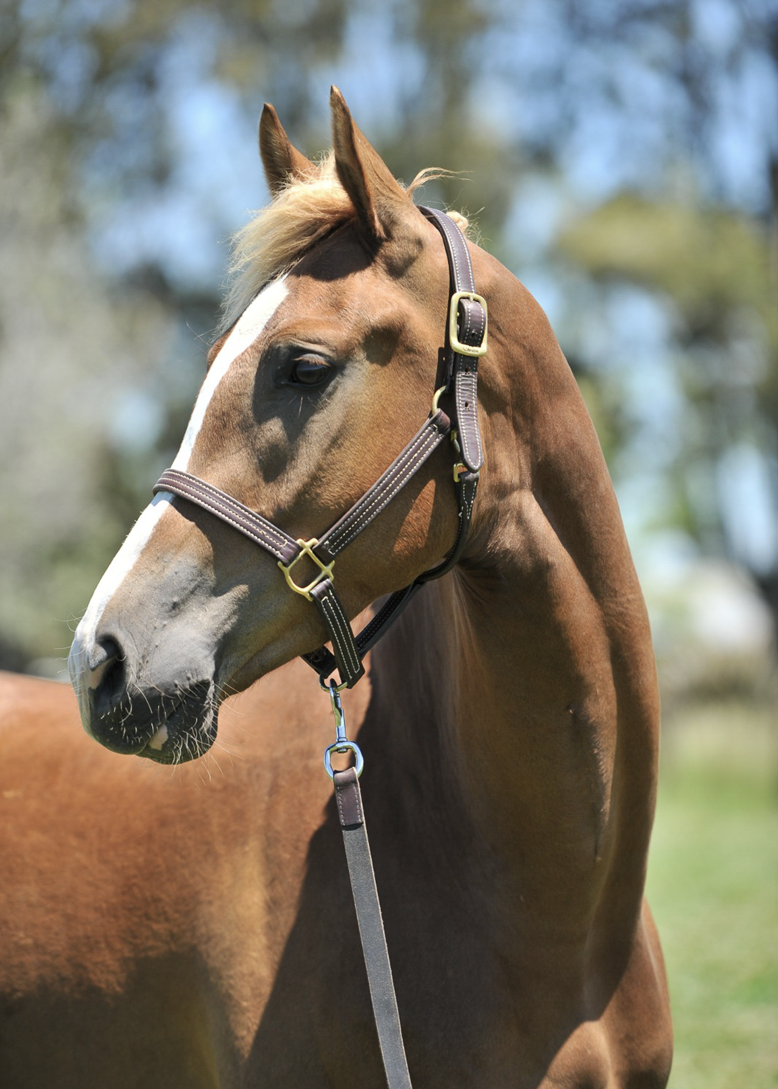 La-Marianita-gallery-11