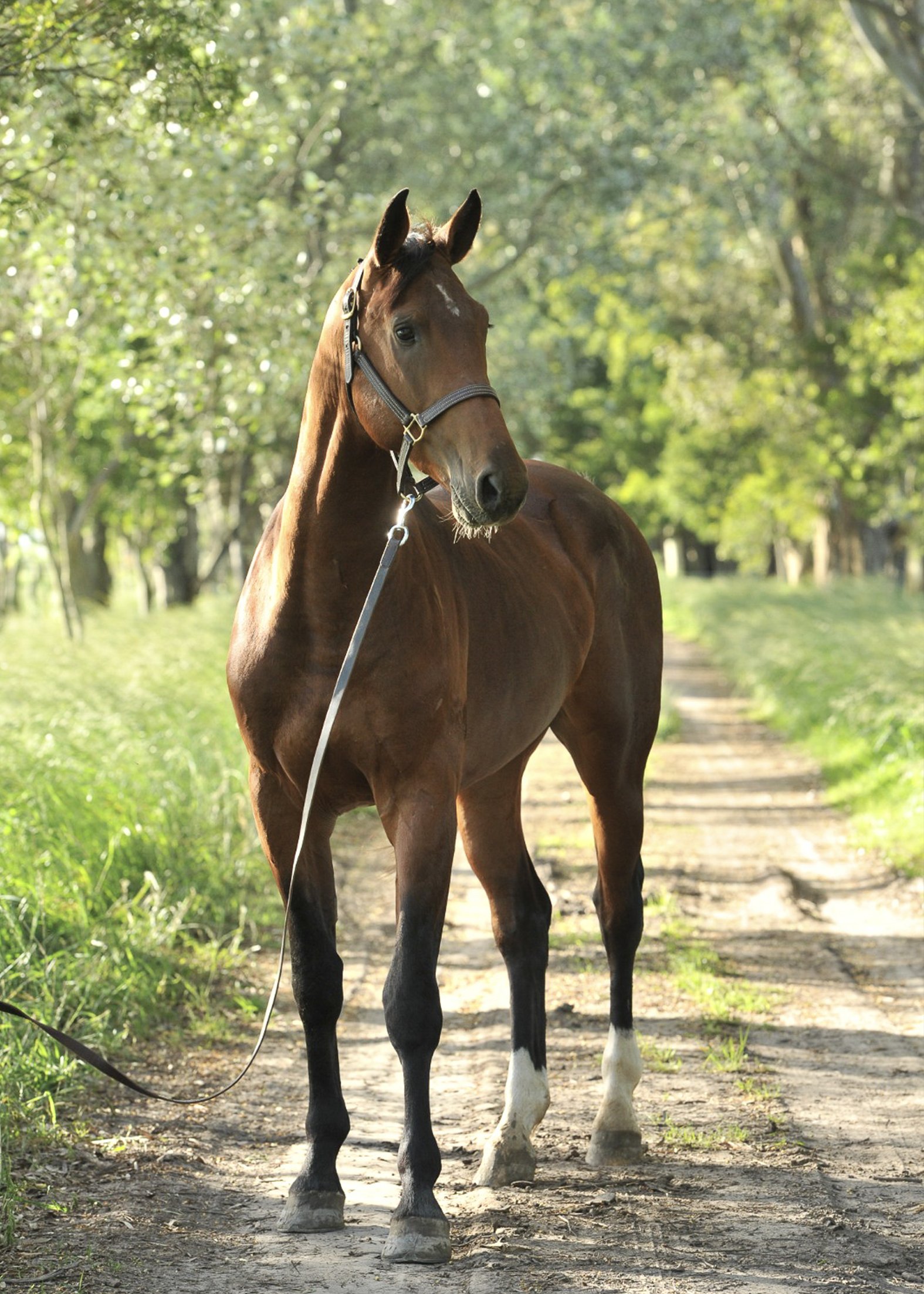 La-Marianita-gallery-12