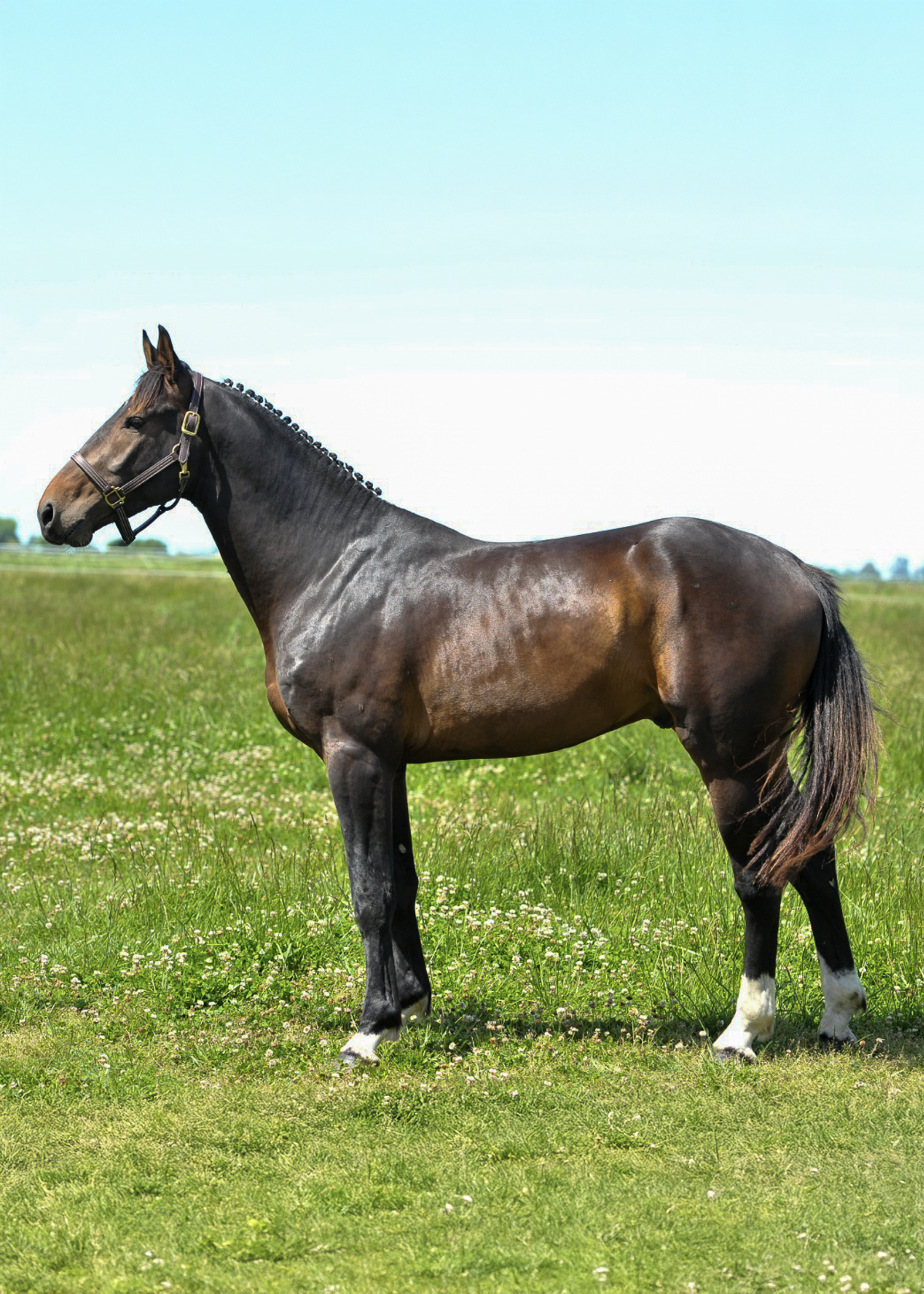 La-Marianita-gallery-4