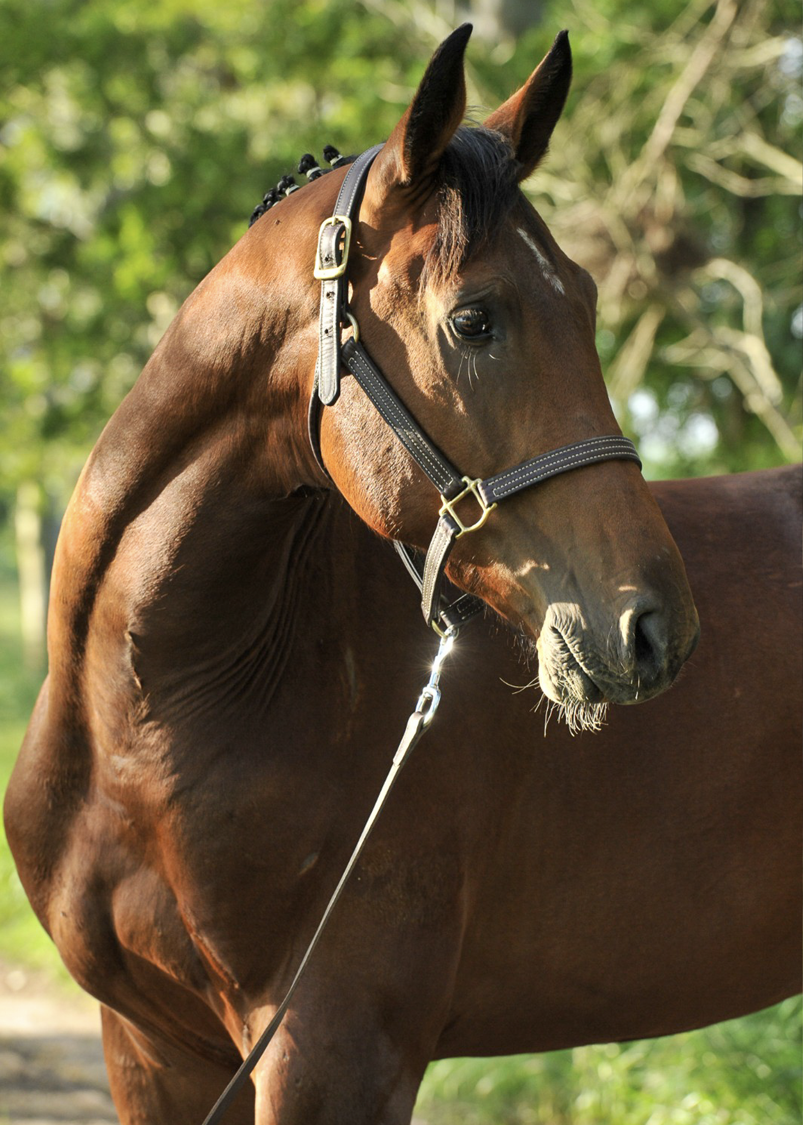 La-Marianita-gallery-8