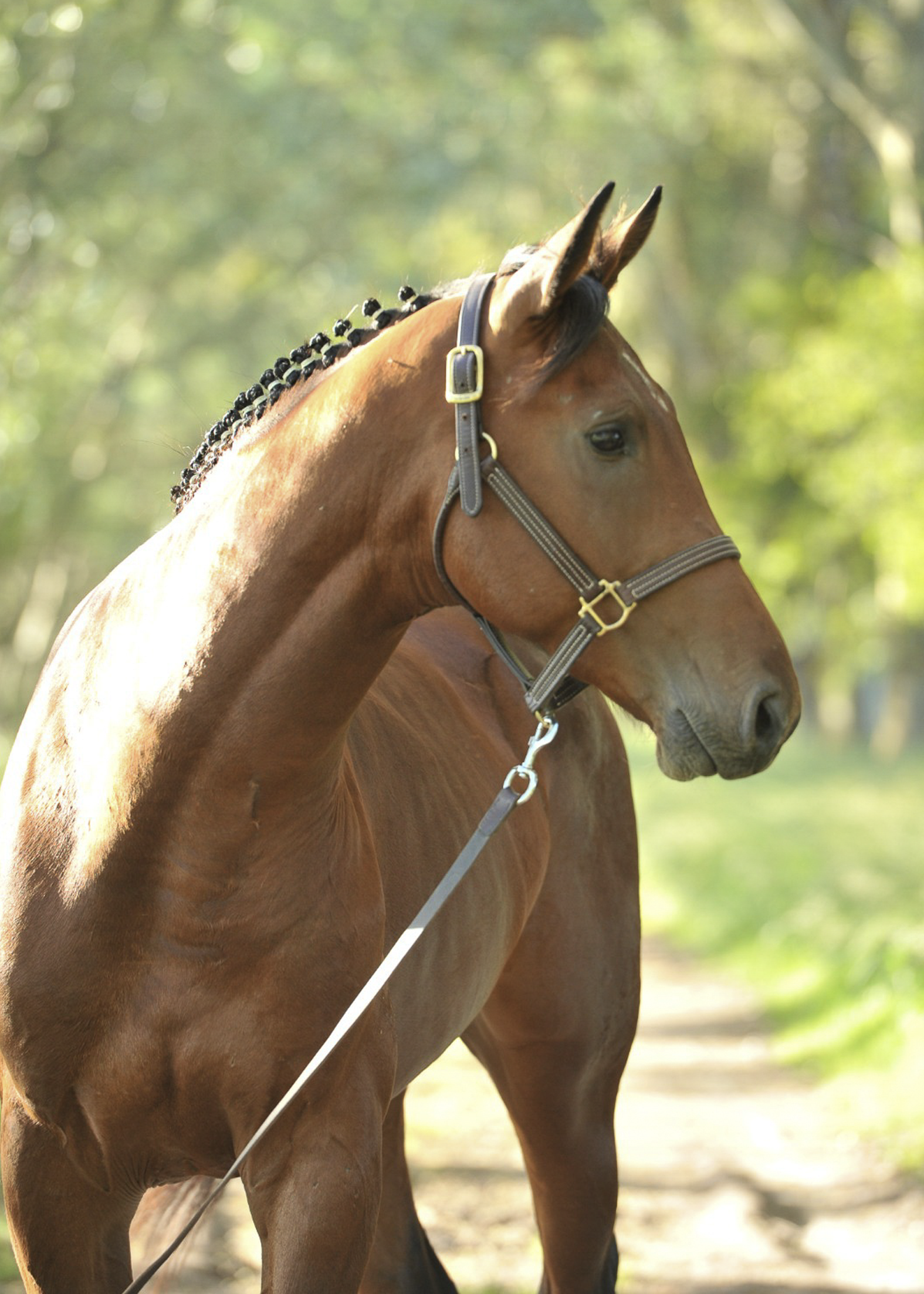 La-Marianita-gallery-9